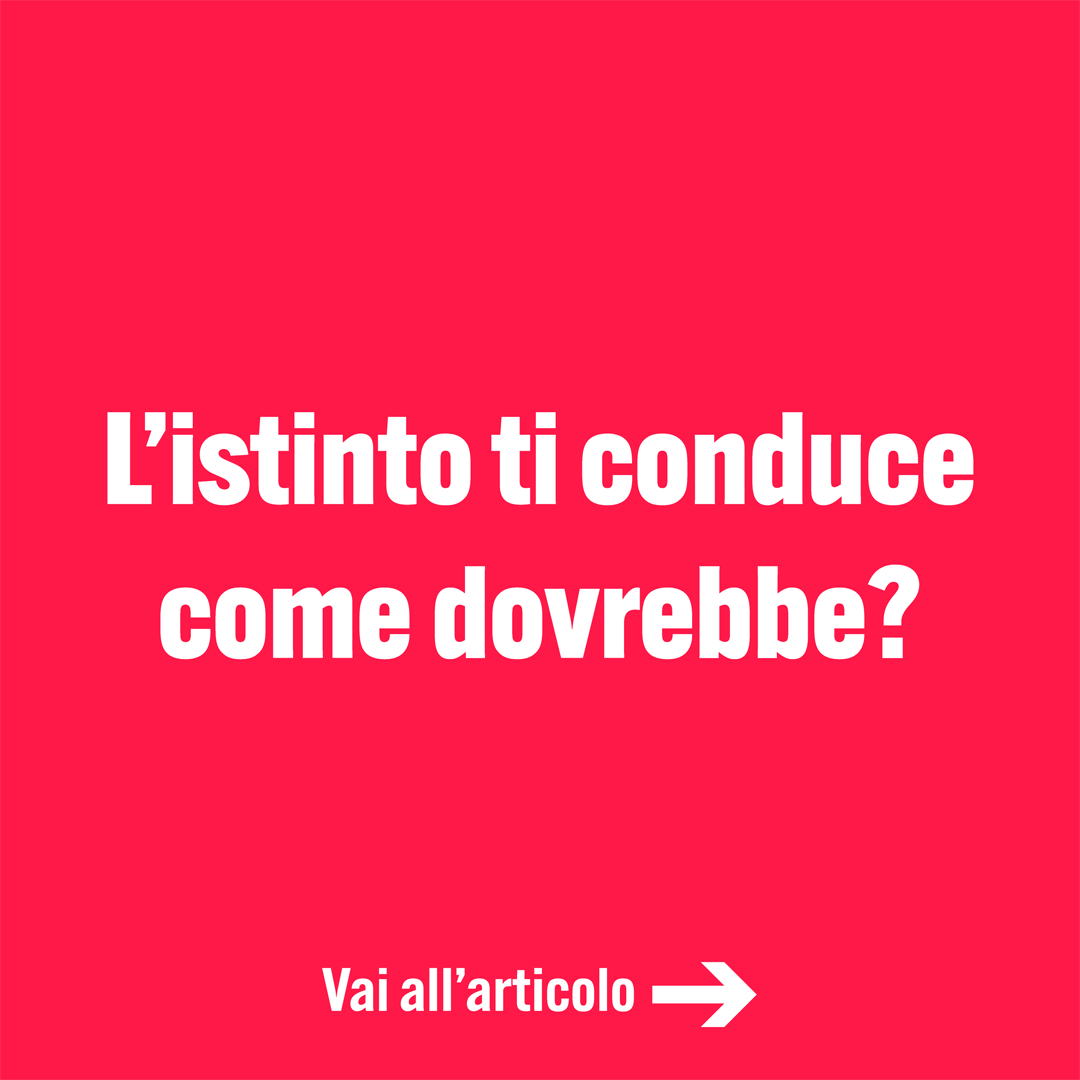 L’istinto ti conduce come dovrebbe?