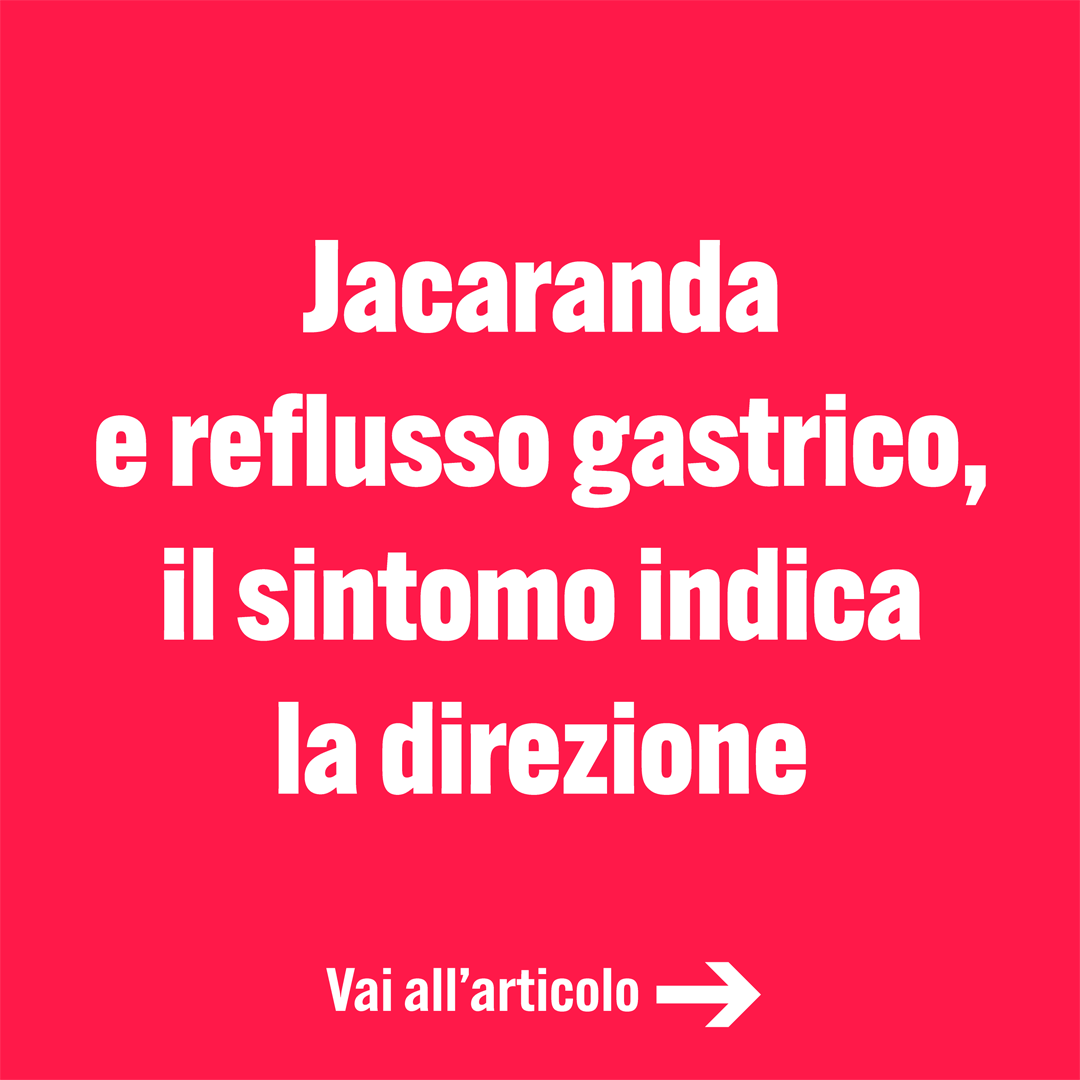 Jacaranda e reflusso gastrico, il sintomo indica la direzione